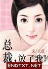 总裁,放了我(全文番外)
