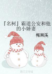 (名侦探柯南同人)『名柯』霸道公安和他的小娇妻