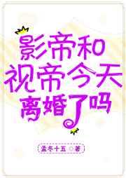影帝视帝今天离婚了吗 完结+番外