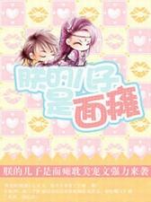 朕的儿子是面瘫