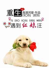 重生遇到红娘汪GL 完结+番外