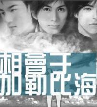 相会于加勒比海