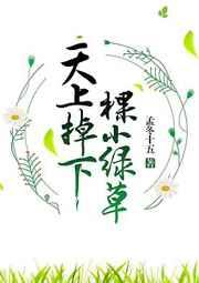 天上掉下棵小绿草 完结+番外