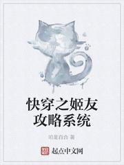 恋姬系统