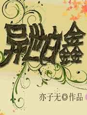 异世白鑫 完结+番外