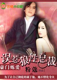 豪门炼爱,误惹狼性总裁