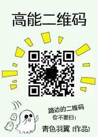 高能二维